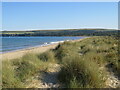 SZ0384 : Dunes at Studland Beach by Malc McDonald