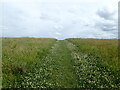 TR0862 : Path through the grassland on Victory Wood by Marathon