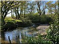 SX8476 : The Teign below New Bridge by Robin Stott