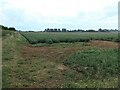 TF0652 : Potato field, west of Moor Farm by Christine Johnstone