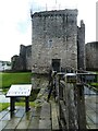 NS0864 : Bute - Rothesay - Castle - Bridge by Rob Farrow