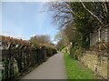 NY3956 : Footpath near Carlisle Cricket Ground by Adrian Taylor