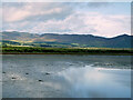 NH7484 : Sandbanks near Dornoch Firth Bridge by David Dixon