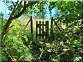 SK0966 : Start of a footpath above Earl Sterndale by Ian Calderwood