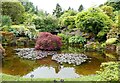 NS1059 : Bute - Mount Stuart - Pond immediately west of house by Rob Farrow