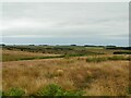  : View from Eglingham Moor by Stephen Craven