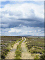 NZ0233 : Hill road on moorland east of Five Pikes by Trevor Littlewood