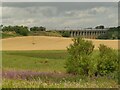 NU2212 : A distant view of the Aln Viaduct by Stephen Craven