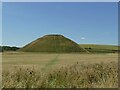 SU1068 : Unofficial path to Silbury Hill by Stephen Craven