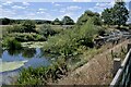 SP8894 : The pool below the weir by Bob Harvey