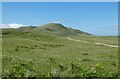 NM1453 : Coll - Nature Reserve - Dunes and path by Rob Farrow