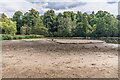 TQ2449 : Priory Pond - 2022 drought by Ian Capper