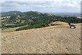 SO7540 : The Malvern Hills viewed from British Camp by Philip Halling