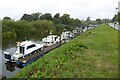 SO8551 : Cruisers moored on the River Severn by Philip Halling