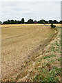 SJ8301 : Farm road and crop field near Kingswood in Staffordshire by Roger  D Kidd