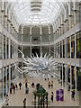 NT2573 : Escherichia coli at the National Museum of Scotland by M J Richardson