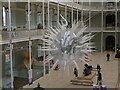 NT2573 : Escherichia coli at the National Museum of Scotland by M J Richardson