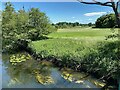 SP3272 : River Avon floodplain below Sowe Mouth by Robin Stott