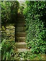 SE1026 : Steps on Halifax Footpath 371, Northowram by Humphrey Bolton