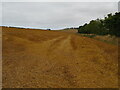 NT8364 : Oat stubble at Greenwood by M J Richardson