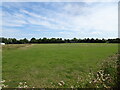 SO9695 : Great Bridge Playing Fields View by Gordon Griffiths