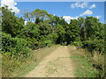 TQ4315 : Former railway route near Barcombe Cross by Malc McDonald