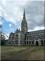 SU1429 : Salisbury - West end and spire by Rob Farrow