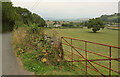 SX7264 : Gate, Upper Dean by Derek Harper