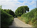 TQ4817 : Driveway near Uckfield by Malc McDonald