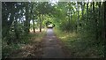 TF1407 : Footpath alongside the A15 Glinton and Northborough bypass near Etton by Paul Bryan