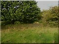 SE1224 : Drystone wall, Southowram by Humphrey Bolton