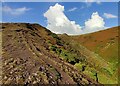 SO4494 : Path ascending the Pike in the Carding Mill Valley by Mat Fascione