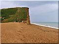 SY4690 : East Cliff, West Bay by David Dixon