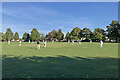 TL2739 : Ashwell: end-of-season cricket by John Sutton