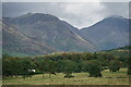 NY1203 : View in Wasdale by Peter Trimming