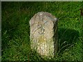 SD4764 : Old Milestone Marker 24-33 F (between bridges 111a-111), Lancaster Canal by Cactus Chris