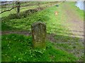 SD4850 : Old Milestone Marker 35-22 F (between bridges 77-76), Lancaster Canal by Cactus Chris