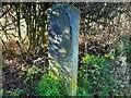 SD4944 : Old Milestone Marker 40-17 F (between bridges 61-60), Lancaster Canal by Cactus Chris