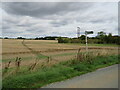 TL3531 : Public footpath near Buntingford by Malc McDonald