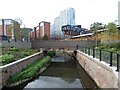 SJ8597 : River Medlock in Mayfield Park by Gerald England