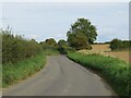 TL3421 : Mill Lane, near Dane End, Hertfordshire by Malc McDonald