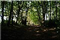 SK3426 : Gate on the edge of Heath Wood by David Lally