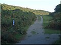 SS8186 : National Cycle Route 4 and a waymark at Margam Country Park by eswales