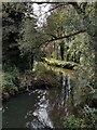 SO8685 : The River Stour near Stourton by Mat Fascione