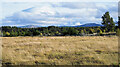 NH9820 : Low level moorland west of Nethy Bridge by Trevor Littlewood