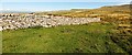 NY7603 : Dry stone wall on north side Tommy Road at Birkett Common by Luke Shaw