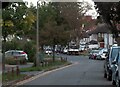 TQ2464 : Alberta Avenue in Cheam by Steve Daniels