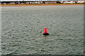 SJ2998 : Crosby Channel Marker Buoy C18 by David Dixon