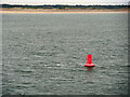 SD2602 : Crosby Channel Marker Buoy C10 by David Dixon