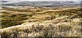 SD7595 : Moorland view from Nettle Brow by Roger Templeman